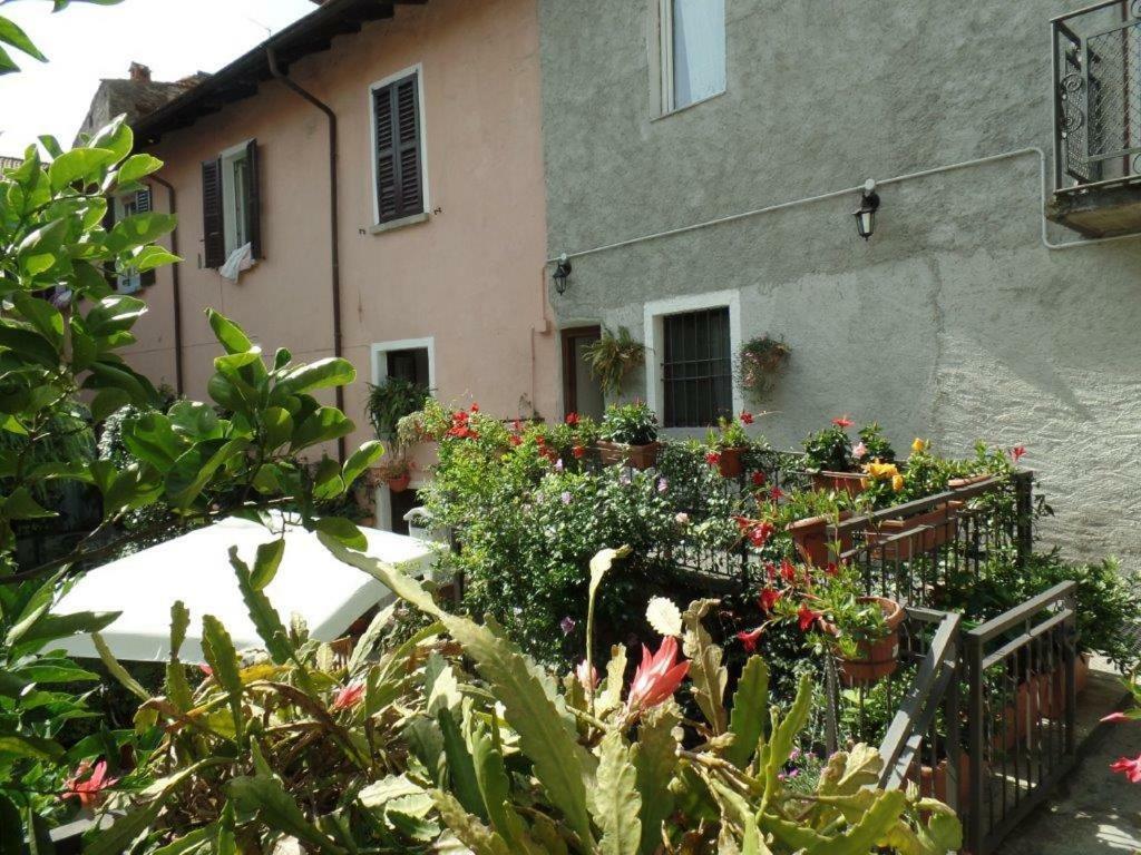 B&B Zia Lina Dongo Εξωτερικό φωτογραφία