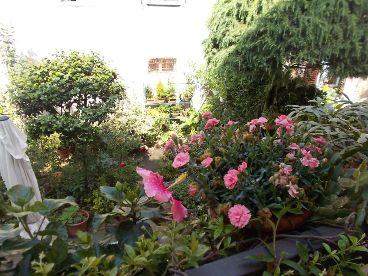 B&B Zia Lina Dongo Εξωτερικό φωτογραφία